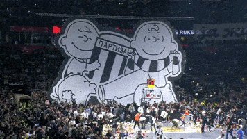 Grobari GIF by Basketball Club Partizan