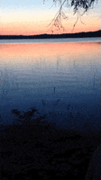lake sunrise GIF