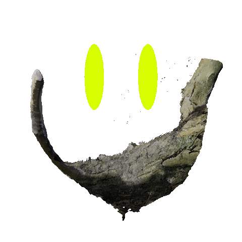 Chino Sticker by Up To Date Festival