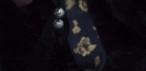 Yooyeonseok GIF