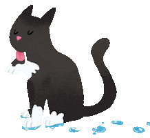 Cat Snow Sticker by leart