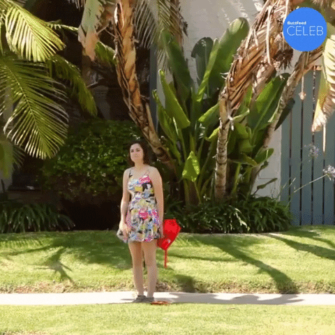 Wave Hello GIF by BuzzFeed