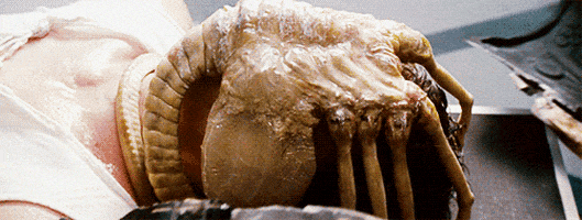 200_s.gif