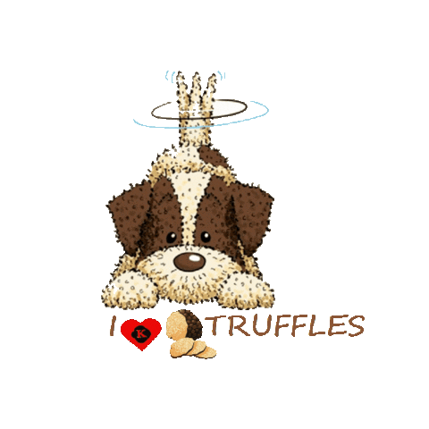 Truffle Sticker by Karlić tartufi