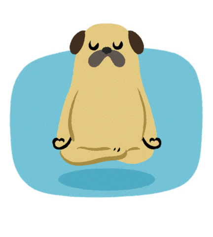 Flūi Vet Spa Sticker