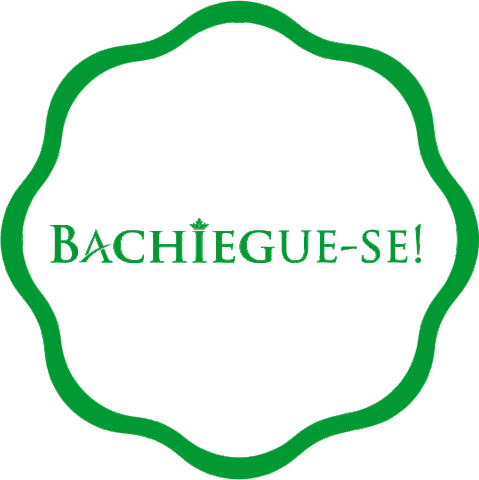 Bachiega Novidades Sticker