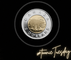 Toonie Tuesday GIF