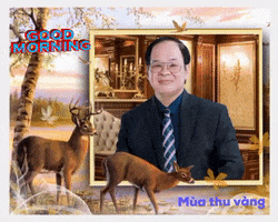 Mùa Thu Vàng GIF