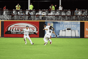 Sport Jumping GIF by Fayetteville Woodpeckers