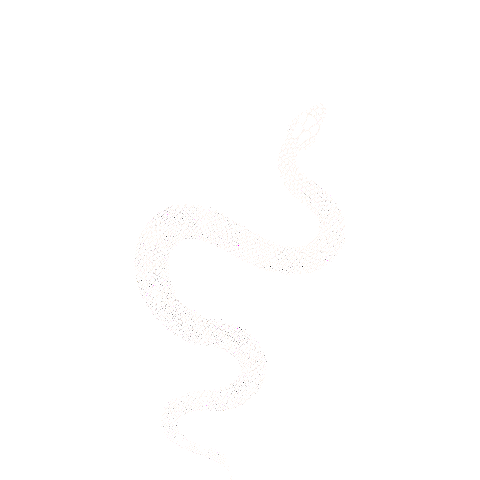 DSTNCT Art Media Sticker