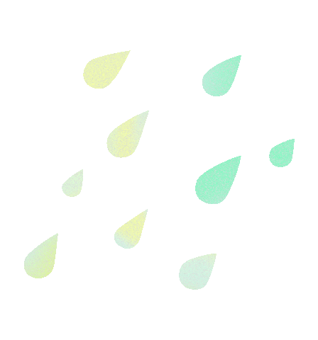 Rain Sticker