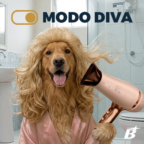 Diva Bri GIF by Britânia Eletro