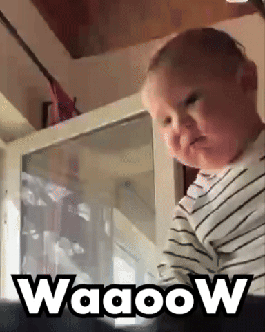 Wow GIF