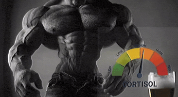Boss Legend GIF by Gigachad