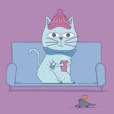 Cat GIF by victorious_es