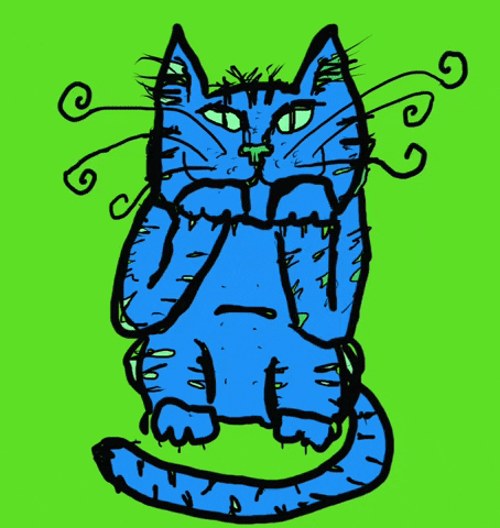 Cat Animation GIF by Andrew torralvo