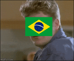 brazil germany vs GIF