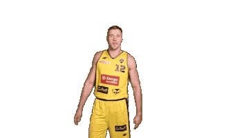 Celebration Basketball Sticker by Trefl Sopot
