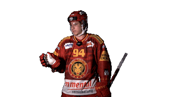 Ice Hockey Sport Sticker by scl_tigers_official