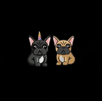 Unicorn GIF