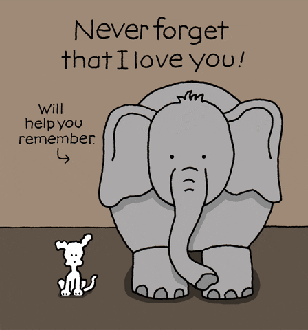 Ill Never Forget You GIF by Chippy the Dog