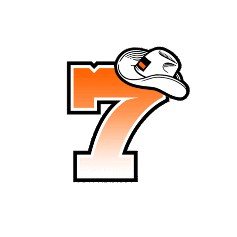 Motocross Cowboy Hat Sticker by Mendid