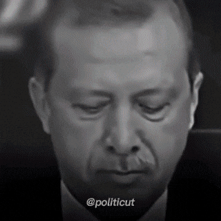 President Reis GIF