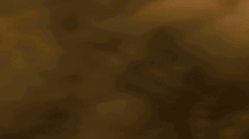 Fight Break GIF