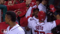 Juan-soto GIFs - Get the best GIF on GIPHY