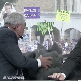 Frogs GIF by TCU Football