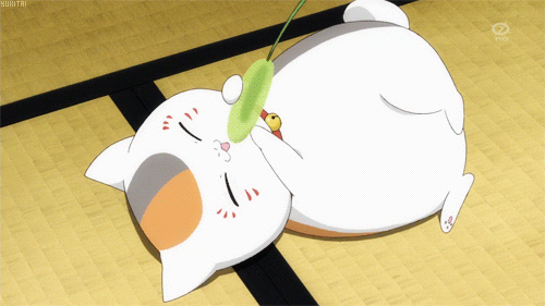 Kawaii Cute Anime Cat Gif