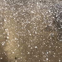 Thunderstorms Deliver Hail to Indiana Town of Huntington