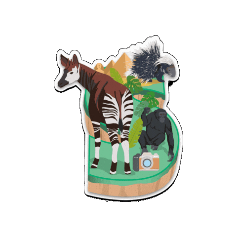 Africa Chimpanzee Sticker by よこはま動物園ズーラシア