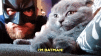 Im-batman GIFs - Get the best GIF on GIPHY