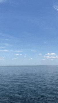 Ocean Freedom GIF by Küstenwerber Ocean Freedom GIF by Küstenwerber