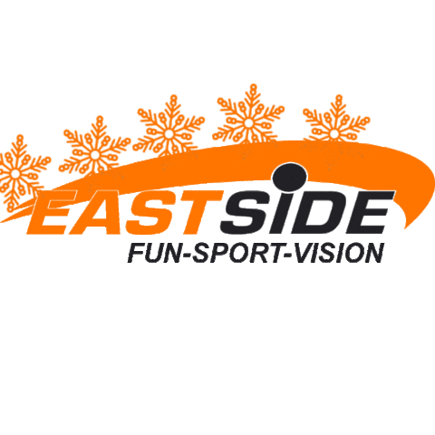 Fun Sport Vision Sticker