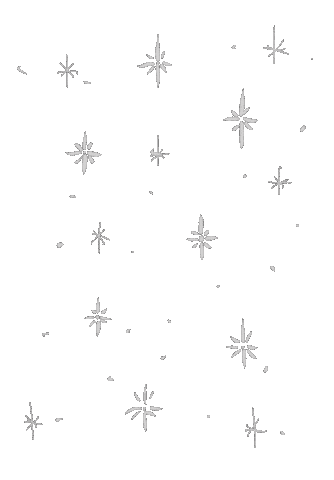 Star Sticker
