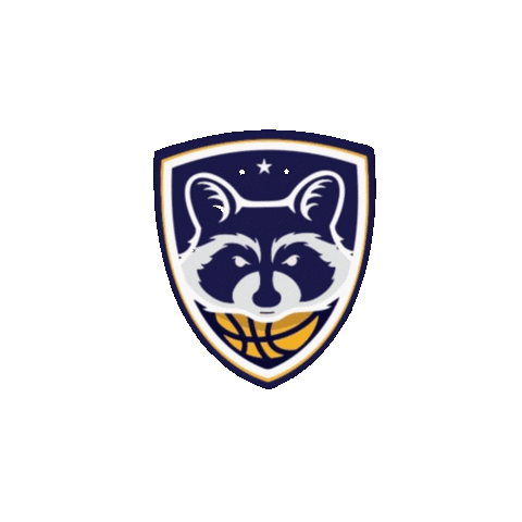 Sticker by Basquete Paraná - FPRB