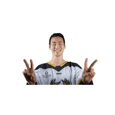 goheartlanders Sticker