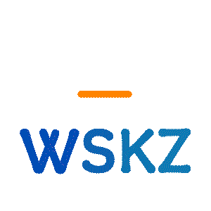 WSKZ Sticker