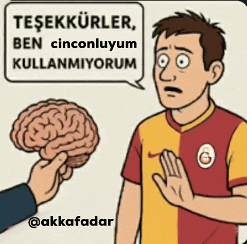 Galatasaray GIF