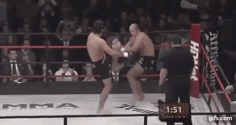 Animated GIF - Find & Share on GIPHY