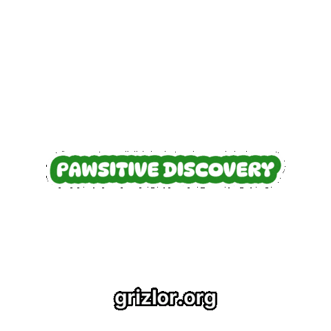 Forest Sticker by grizlor