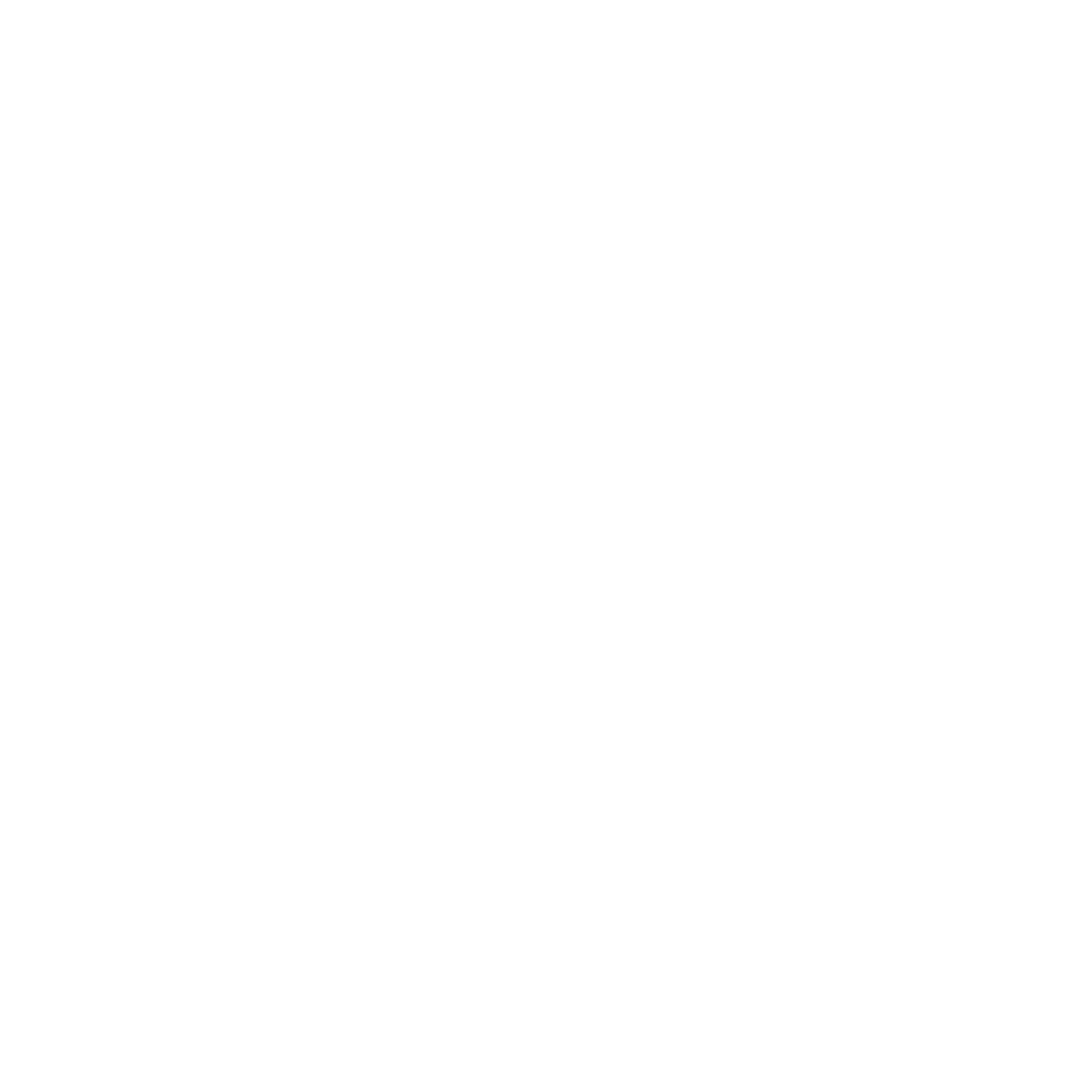 Dacia Sticker