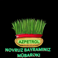Novruz Semeni GIF by AzpetrolLtd.MMC