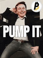 Elon Musk Dogecoin GIF by BitPal