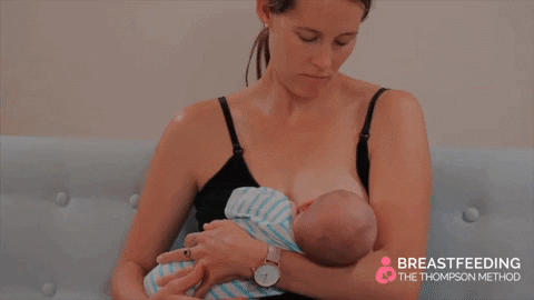 breastfed meaning, definitions, synonyms