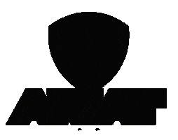 Shield Horseshoe Sticker by Ariat