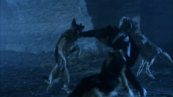 1990S GIF
