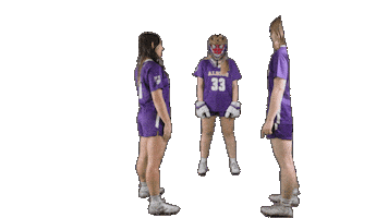 Lacrosse Ppp Sticker by Albion College